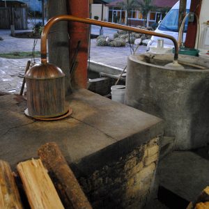 Con productores de mezcal en la Mixteca