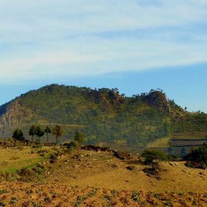 Veracruz volcánico y café: del Pico al Sotavento