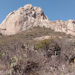 Querétaro: casco, peña y viñedo