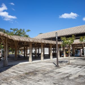 Chiapas maya: San Cristóbal, selva y Palenque